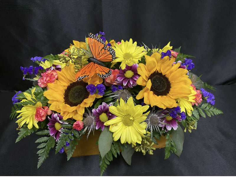 Window Box Collection A