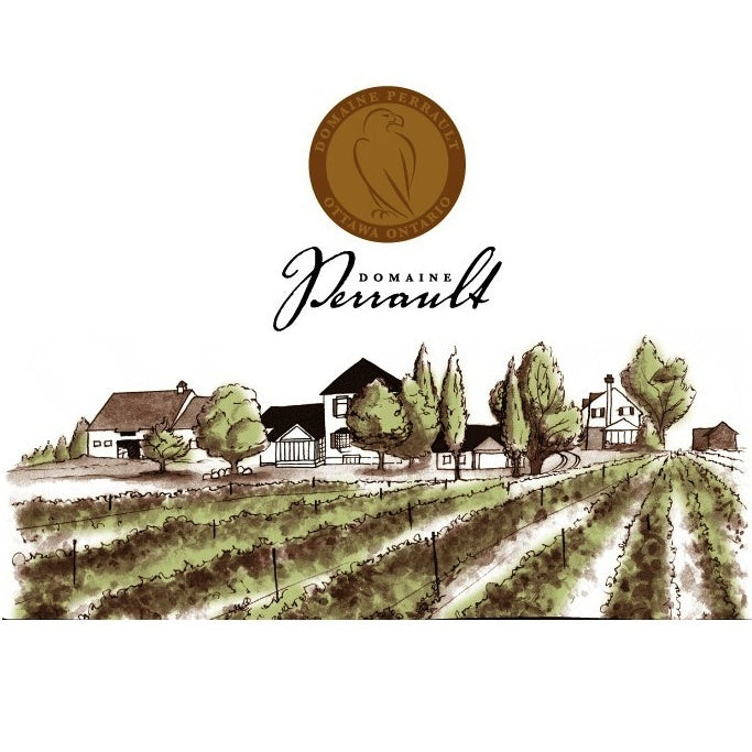 Beer & Wine - An Old Favorite - Sauvignon Blanc